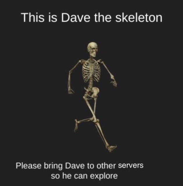 This is Dave the skeleton

[picture of Dave the skeleton]

Please bring Dave to other servers so he can explore