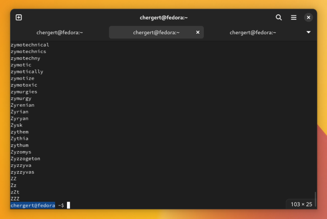 Screenshot of GTK4 GNOME Terminal 