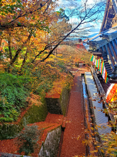 Autumn arrives properly at the end of November in Kyoto.