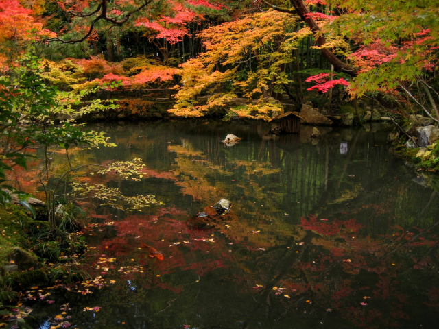 Tenju-an, a sub-temple of Nanzen-ji, is particularly famed for its autumn colours.