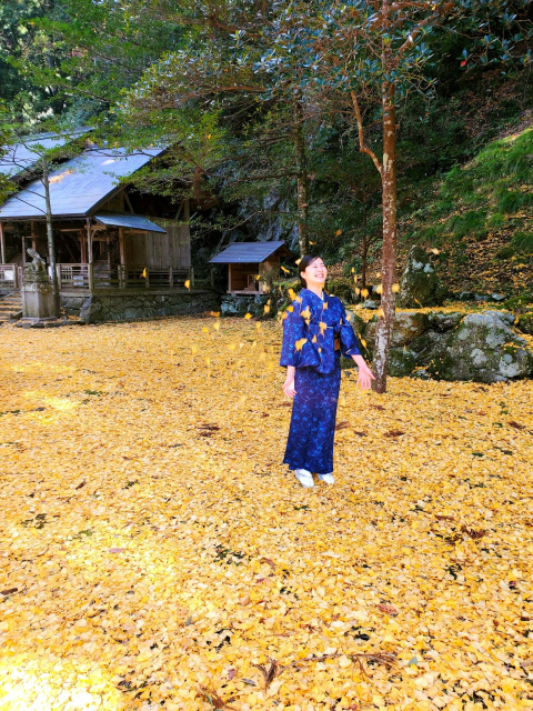 Nao-san frolics amongst fallen ginkgo leaves.