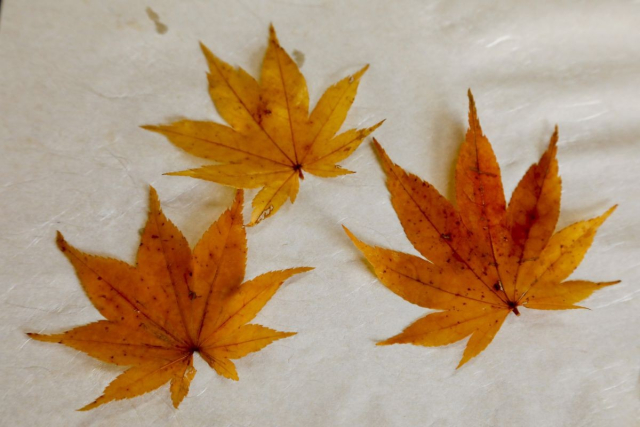 Legend has it that the deep fried maple leaf snack was invented over 1300 years ago.