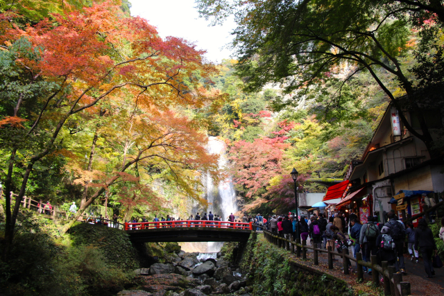 Mino is particularly famous for its autumn foliage and the area gets very busy in fall.
