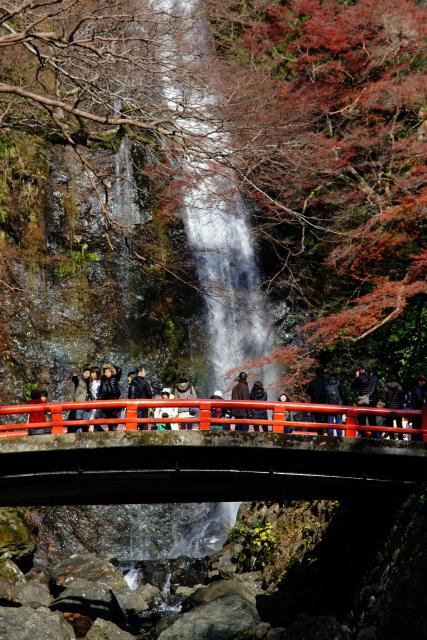 Momiji tempura is said to have been created by ascetics worshipping at the waterfall.