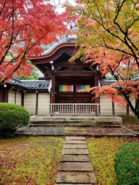 Eikan-do is one of the most popular spots to see the maple leaves in autumn. Over 3000 maple trees cover the temple precincts.