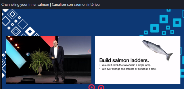 A man in a suit on a stage speaking on an audience. Next to him is a slide with a fish on it, and the words "Build salmon ladders. You can't climb the waterfall in a single jump. Win over change one process or person at a time"