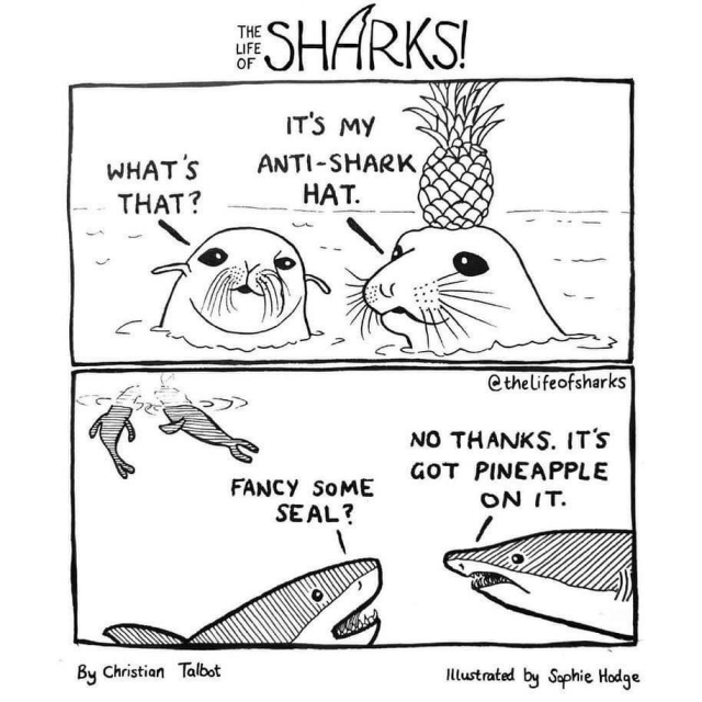 Seals: WHAT'S THAT? IT'S MY ANTI-SHARK HAT.  Sharks: FANCY SOME SEAL? NO THANKS. IT'S GOT PINEAPPLE ON IT.  By Christian Talbot Illustrated by Sophie Hodge