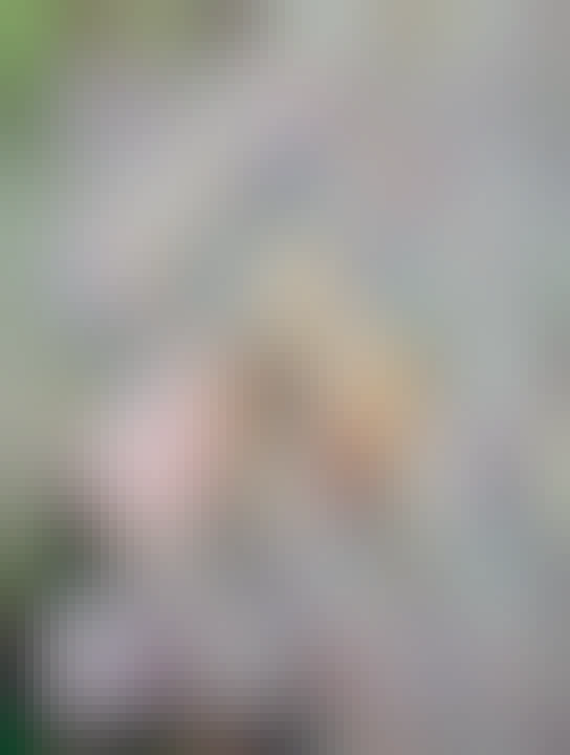 kytica sušených makovýc, z hora, vidět makovice