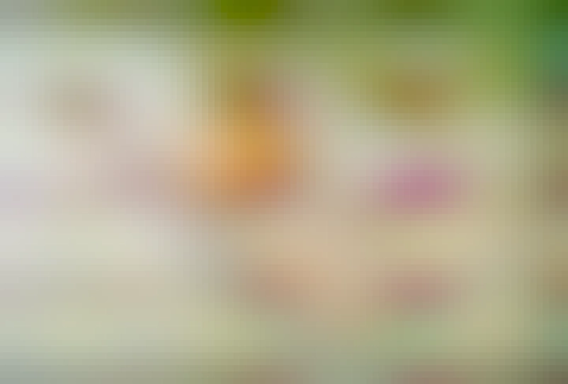 kačica na plti plaví sa, len tak 