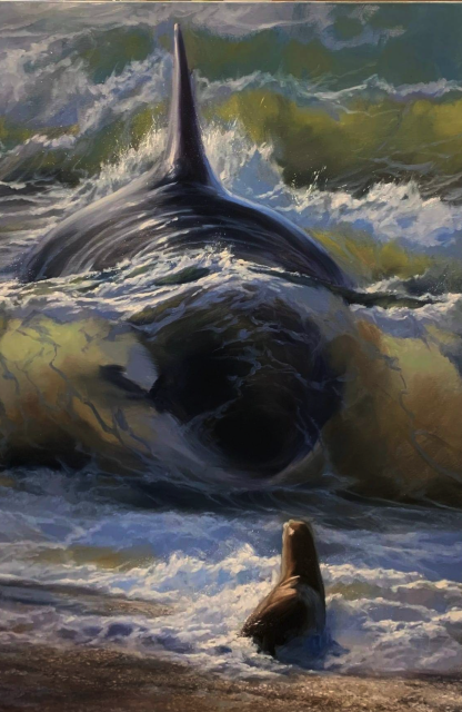 A seal sits near the surf looking away from us out to sea. The water is chopping and crashing to the beach in waves, swelling in a round bulge, a dark form, the face of an orca. Back-lit through the blue green and gray surf dorsal fin like the mast of a ship. The orca is ramming up on to the beach to snatch the little seal --this is the moment just before as an oil painting. 