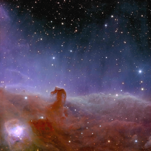 Euclid's image of the  Horsehead Nebula