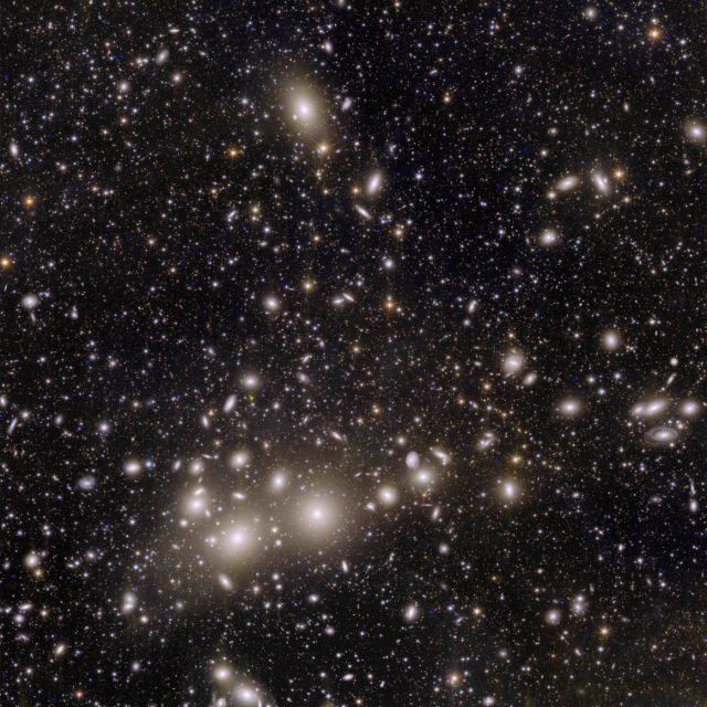 Euclid’s image of the Perseus cluster of galaxies.