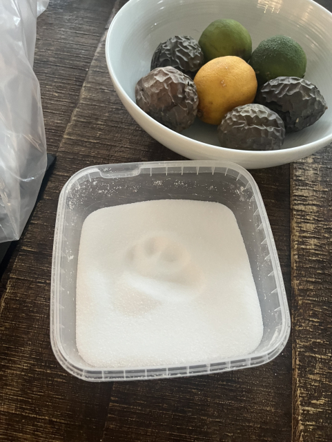 A paw print in the salt