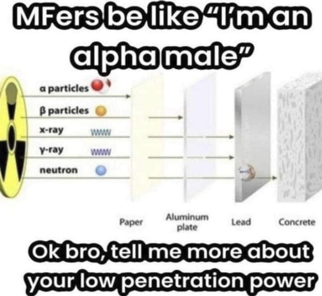 Graphic of nuclear particle penetration, from "alpha" (least penetrative) through beta, x-ray, gamma-ray and "neutron" (most).
Caption: MFers be like 'I'm an alpha male'. OK bro, tell me more about your low penetration power.