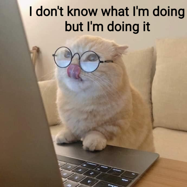 Cat wearing glasses and licking IRS nose while working on a laptop. 
Caption reads "I don't know what I'm doing but I'm doing it"