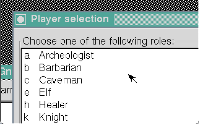 gnome-nethack in 320x200