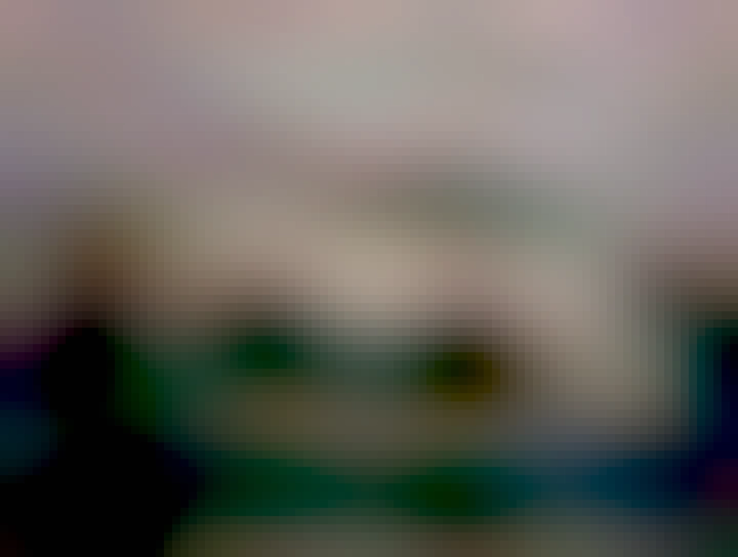 Mica.. čiernobiela mačka z Miletičky