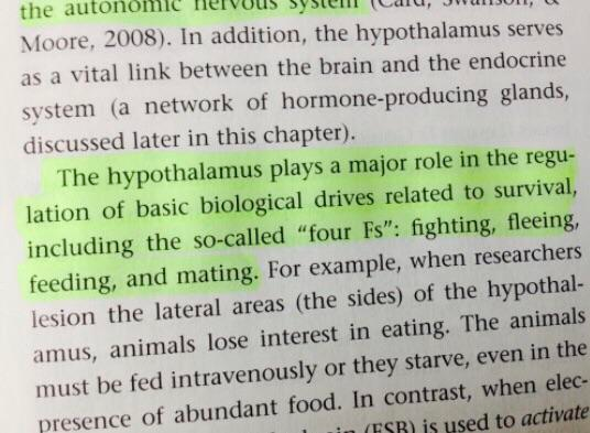The hypothalamus plays a major role in the regu- Jation of basic biological drives related to survival, including the so-called “four Fs": fighting, fleeing, feeding, and mating. 