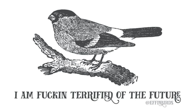 A woodcut of a bullfinch above the text "I am fuckin terrified of the future"
