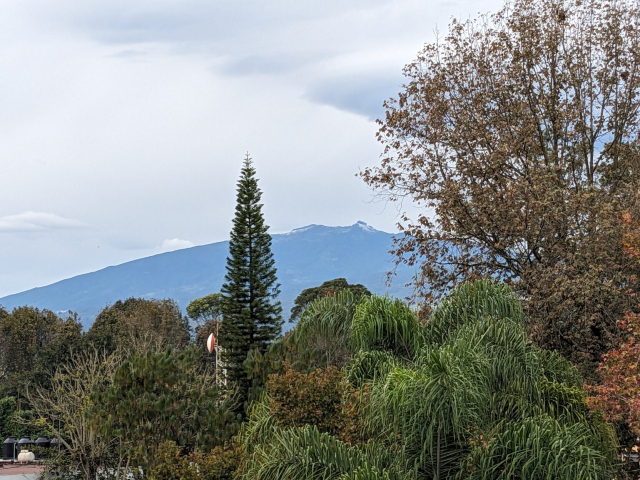en primer plano un montón de árboles y al fondo el cofre de perote con unos manchones de nieve
