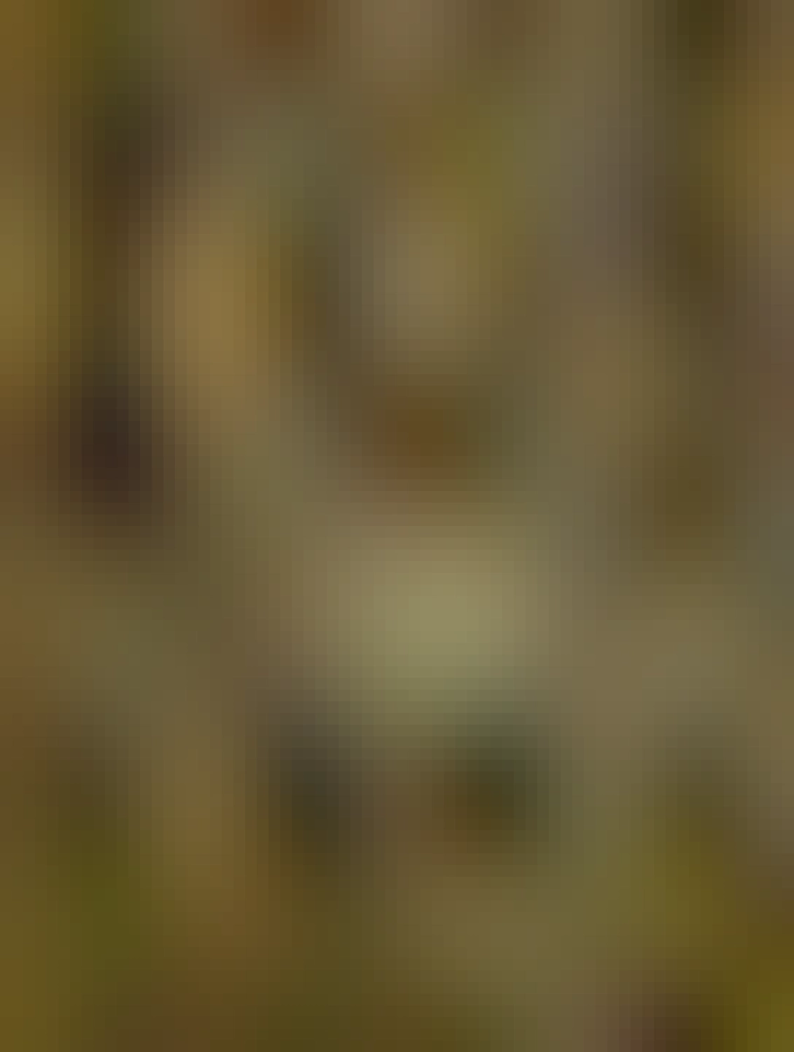 popadané jesenné lístie na zemi po ceste z kárčmy