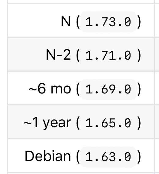 Screenshot of a table listing rust versions and their ages. With “Debian” as the last one corresponding to more than 1 year out of date.