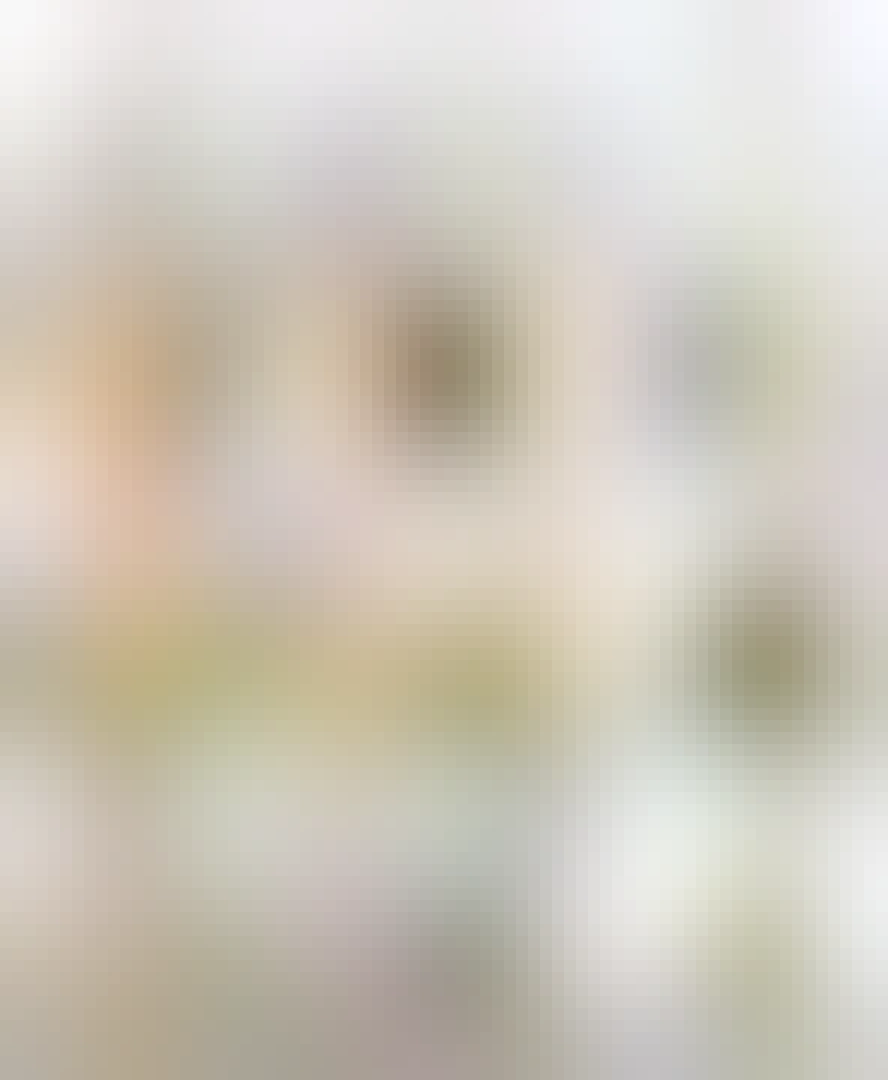 Collage image, showing a photo of two wild buns fighting, executing a nifty mid-air leg strike, plus five marginalia depicting rabbits with axes and other weaponry. Caption "Taking away their weapons at the end of the Middle Ages just made bunnies more proficient in hand-to-hand combat"