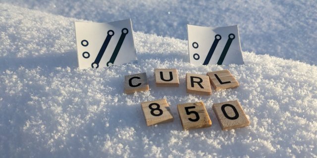 curl 8 5 0, on wooden tiles in the snow