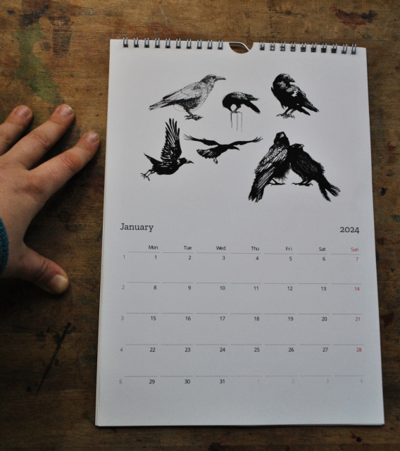 a wall calendar turned to the page for January lying on a wooden table spotted with paint stains, with a left hand at the side of the calendar for size comparison. The upper part of the calendar page is taken up by an image of six corvids in various poses, drawn in black ink.