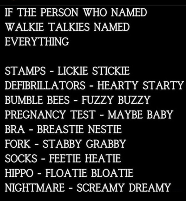 There ist written:

If the person who named walkie talkie named everything

Stamps - Lickie Stickie
Defibrillators - Hearty starry
Bumble bees - fuzzy buzzy
Pregnancy test - maybe baby
Bra - breastie nestie
Fork - stabby grabby
Socks - feetie heatie
Hippo - floatie bloatie
Nightmare - screamy dreamy