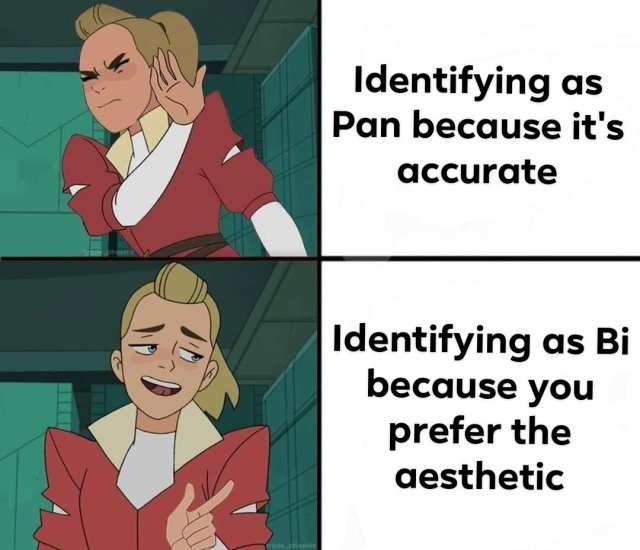 top: Adora from She-Ra making a disgusted refusal gesture to the caption "Identifying as Pan because it's accurate"

bottom: Adora from She-Ra happily pointing toward the caption "Identifying as Bi because you prefer the aesthetic"