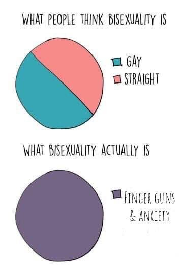 top: "What People Think Bisexuality Is" title over a pie chart divided equally between two colors, labelled "Gay" and "Straight"

bottom: "What Bisexuality Actually Is" title over a pie chart that is all one color, labelled "Finger Guns & Anxiety"