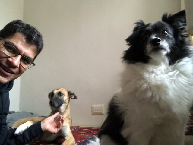 Selfie con los dos perros y yo. Me serviría un teléfono con gran angular.
