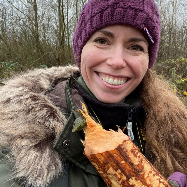 Photo of me smiling outdoors in winter clothing holding a thick branch that has been gnawed off by a beaver. You can tell because I'm showing the pointed end that has the characteristic pencil-shape to it and there are some teeth marks visible.