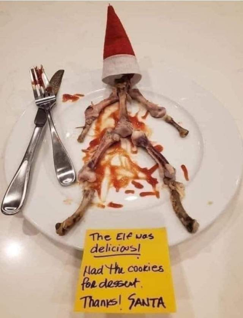 Plate of bones with a tiny elf on the shelf hat and a note from Santa: the elf was delicious, had the cookies for dessert. Thanks! Santa