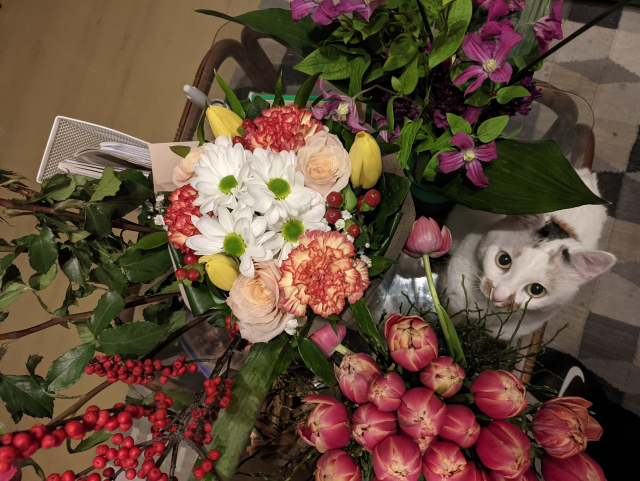 Top view on a table with many flowers and me sitting between vases looking up to camera.