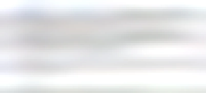 PLUMAGE A TROIS
Thomas the blind bisexual goose who was stuck in a two-decide long love triangle with two swans dies aged 40