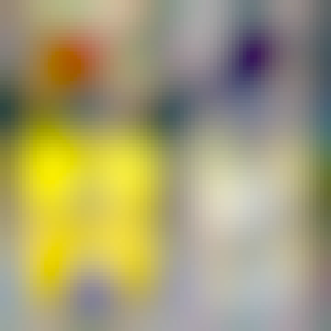 A large dog with white fur and a black face named Yumi turning her head to the left next to a yellow suitcase with a red beret on it and the EU pet passport.