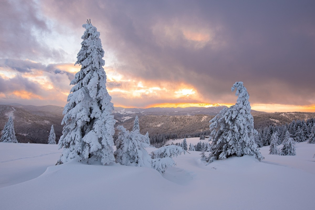Eine winterliche Landschaftsszene mit einem Schneehang, auf dem verschneite Tannenbäume stehen und eine Bergkulisse mit einem dynamischen,  bewölkten Sonnenuntergang im Hintergrund