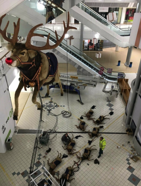 A life size mall christmas display featuring santa’s reindeer— but only Ruldolf is up and the other reindeer lie far below on the ground as if he  murdered them. 