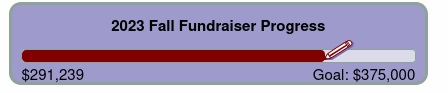 Fundraising bar for FSF on Dec 29 2023. Progress: 291239 / 375000 USD