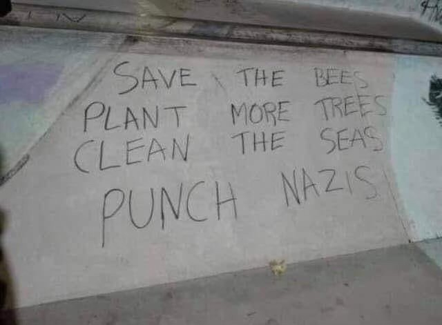 “Save the bees
Plant more trees
Clean the seas
Punch Nazis”