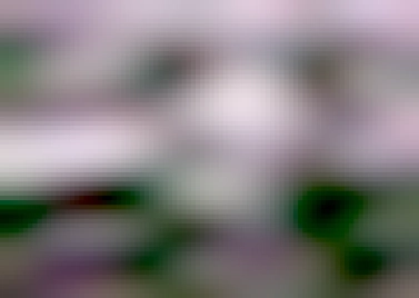 imagen en blanco y negro de un olentzero gigante