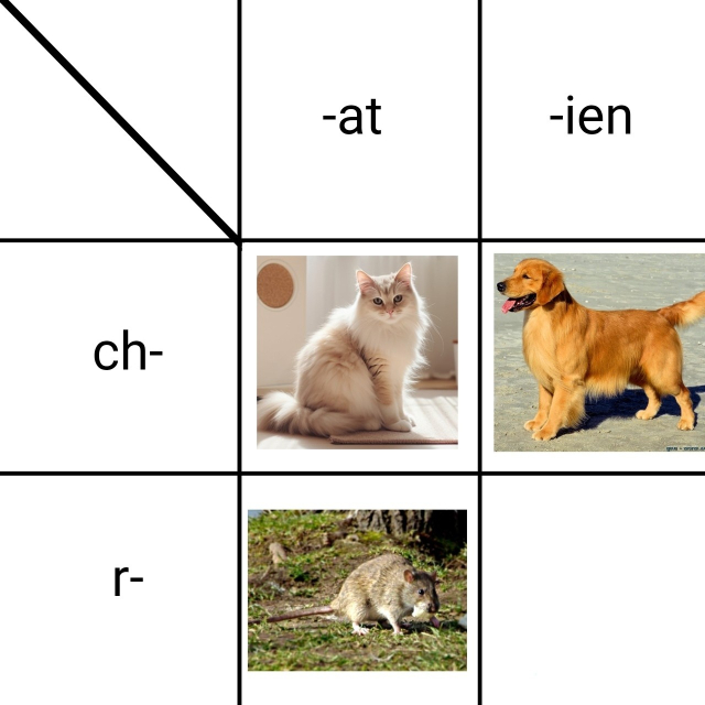 Charte d'intersections : la partie à gauche a sa première ligne légendée « ch- » et sa deuxième ligne légendée « r- », tandis que la partie du haut a sa première colonne légendée « -at » et sa deuxième « -ien ». À l'intersection de « ch- » et « -at » se trouve une photo de chat ; à l'intersection de « ch- » et « -ien » se trouve une photo de chien ; à l'intersection de « r- » et « -at » se trouve une photo de rat ; à l'intersection de « r- » et « -ien » se trouve une case vide.