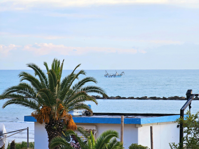 The photo depicts a serene coastal scene with a prominent palm tree in the foreground bearing clusters of yellow dates. Behind the palm tree, a white building with a blue roof edge adds a touch of Mediterranean charm to the setting. In the distance, a calm blue sea stretches to the horizon under a soft, cloudy sky. A fishing boat is visible on the water, providing a sense of quiet industry against the natural beauty. The composition of the photograph captures the tranquility of a seaside morning.