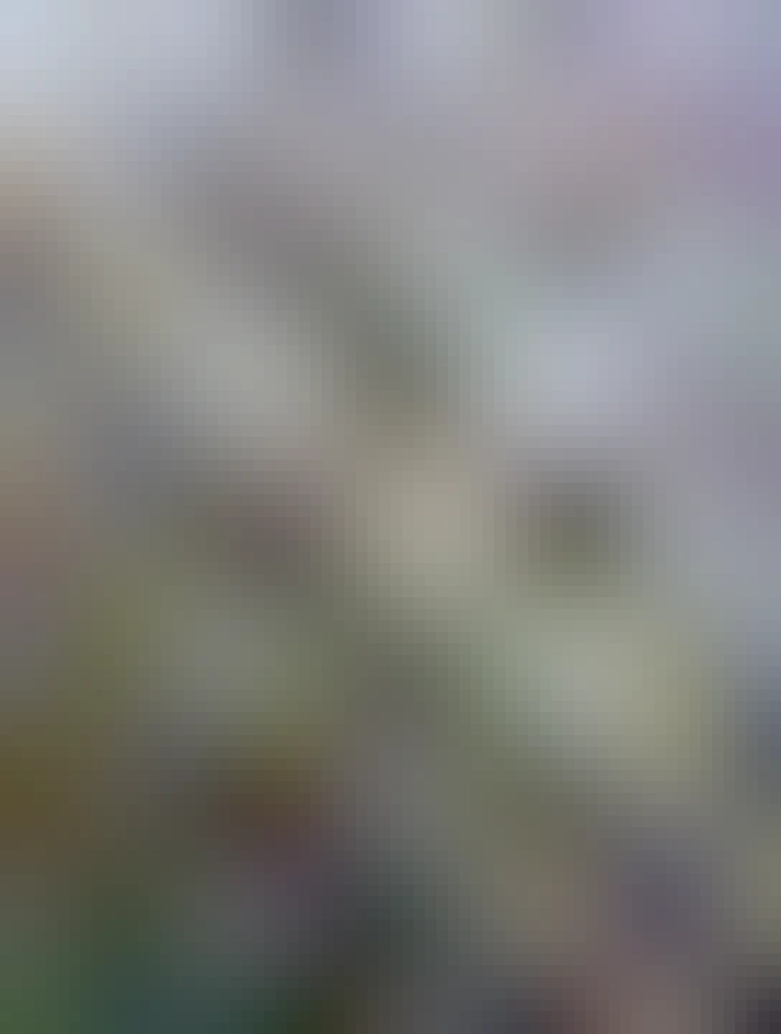 Carlton hotel, v popredí sú opadané stromy