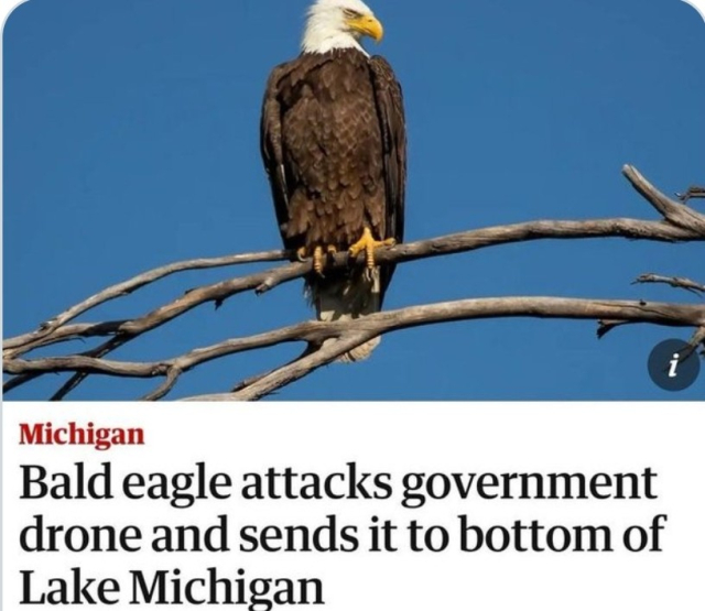 Headline: Michigan Bald eagle attacks government drone and sends it to bottom of Lake Michigan 