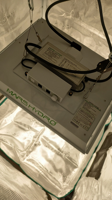 Pohled na rozsvícený pěstební LED světlo zavěšené v pěstebním stanu.