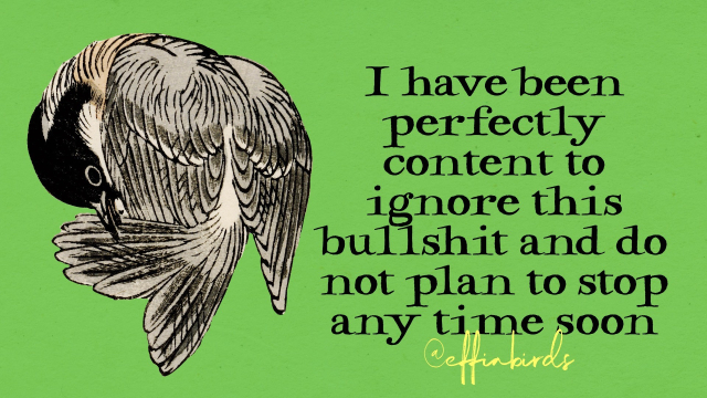A painting of a bird next to the words "I have been perfectly content to ignore this bullshit and do not plan to stop any time soon"