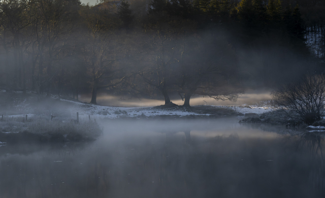 A picture of trees by a river on a misty day. In the foreground the river is calm and flat and white mist hangs around the banks of the river which are covered with long grass with a heavy frost and some snow. The lower part of the trees are reflected in the river.

Further back in the photo a line of trees are starting to catch the first rays of the sun, taking on a golden hue. The two main tree are two large oaks, a rope swing hangs beneath one of the trees. Behind the trees a patch of mist is highlighted in warm light by the sun whilst the rest of the photo has a cold mainly grey/blue hue.